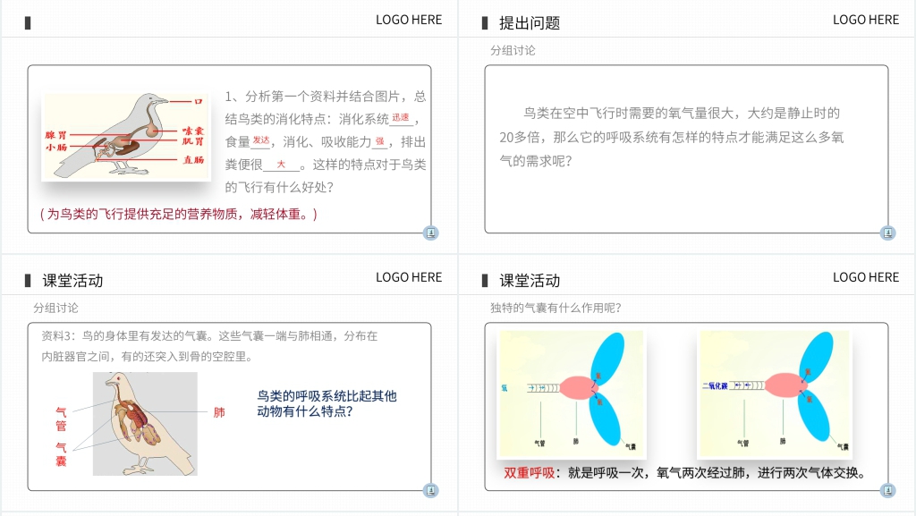 八年级上册初二生物《鸟》PPT课件