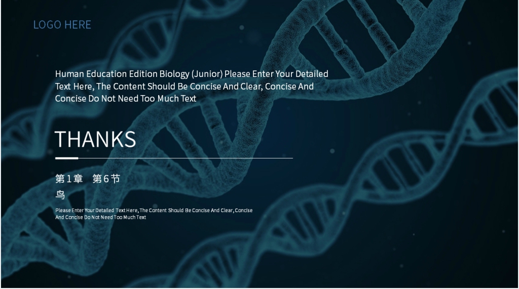 八年级上册初二生物《鸟》PPT课件