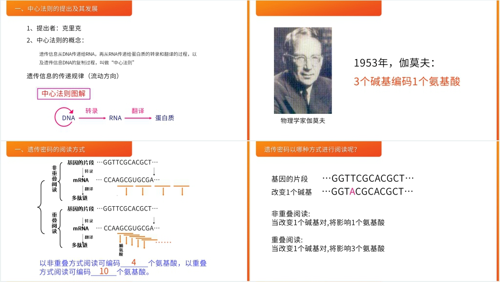 高一下册生物必修二《遗传密码的破译》PPT课件 高一下册生物必修二《遗传密码的破译》PPT课件