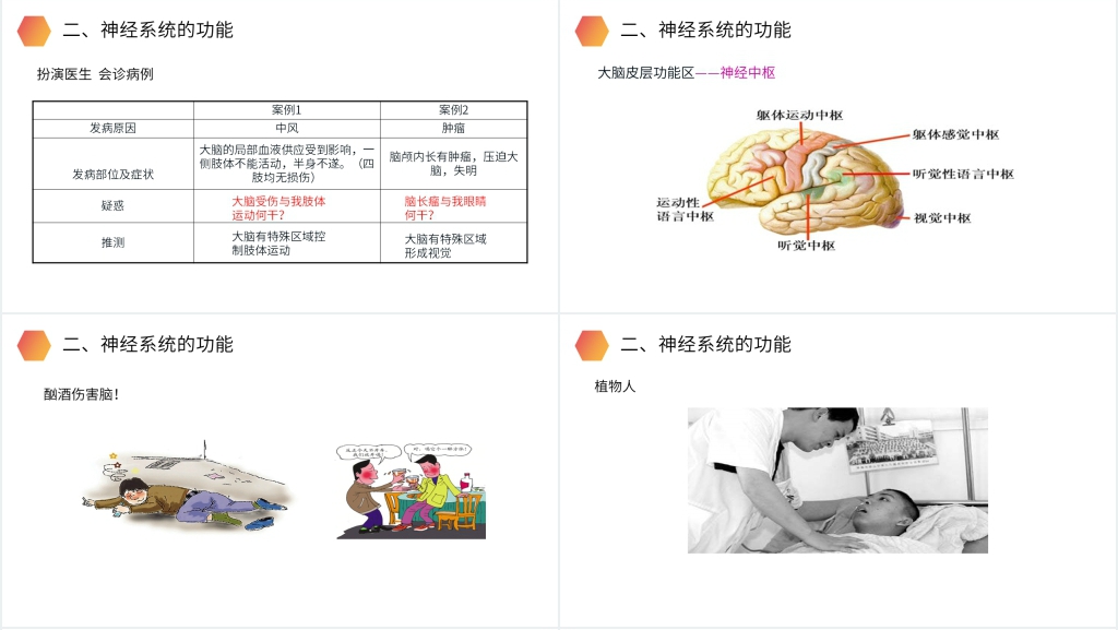 人教版生物七年级初一下册《神经系统的组成》PPT课件 人教版生物七年级初一下册《神经系统的组成》PPT课件