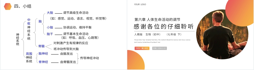 人教版生物七年级初一下册《神经系统的组成》PPT课件 人教版生物七年级初一下册《神经系统的组成》PPT课件