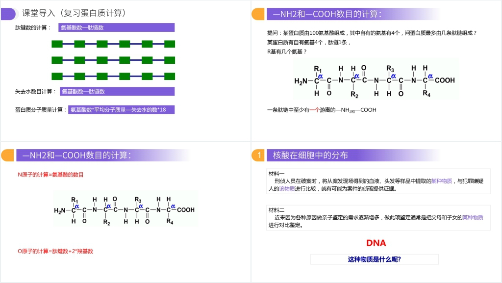 人教版必修高一生物《遗传信息的携带者(核酸)》PPT课件 人教版必修高一生物《遗传信息的携带者(核酸)》PPT课件