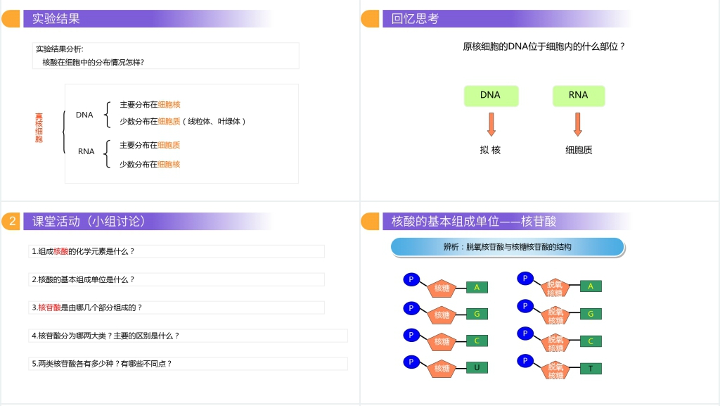 人教版必修高一生物《遗传信息的携带者(核酸)》PPT课件 人教版必修高一生物《遗传信息的携带者(核酸)》PPT课件
