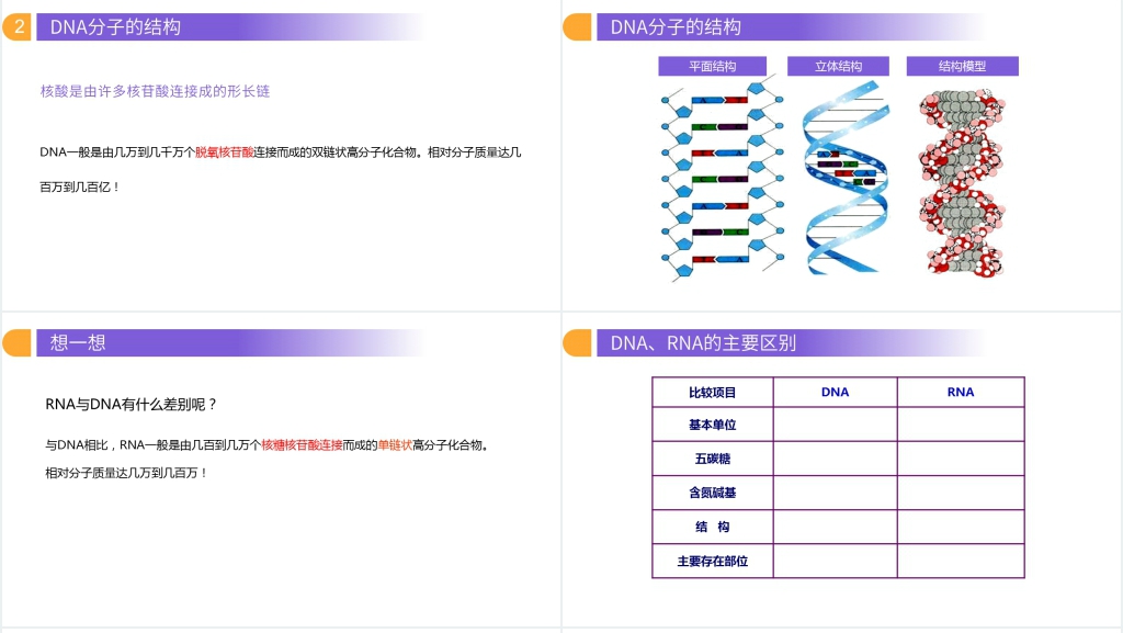 人教版必修高一生物《遗传信息的携带者(核酸)》PPT课件 人教版必修高一生物《遗传信息的携带者(核酸)》PPT课件