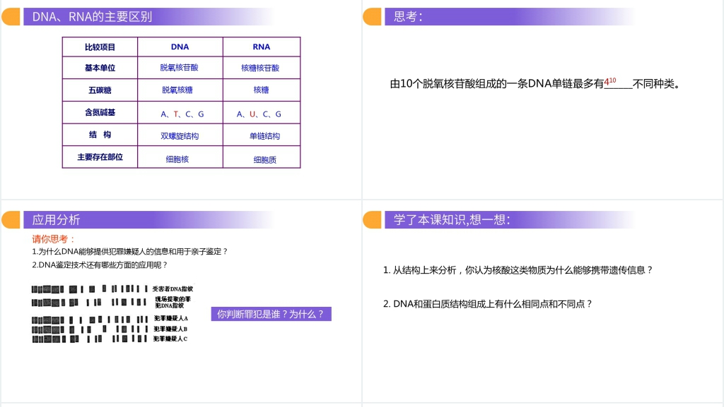 人教版必修高一生物《遗传信息的携带者(核酸)》PPT课件 人教版必修高一生物《遗传信息的携带者(核酸)》PPT课件