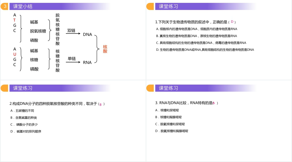 人教版必修高一生物《遗传信息的携带者(核酸)》PPT课件 人教版必修高一生物《遗传信息的携带者(核酸)》PPT课件