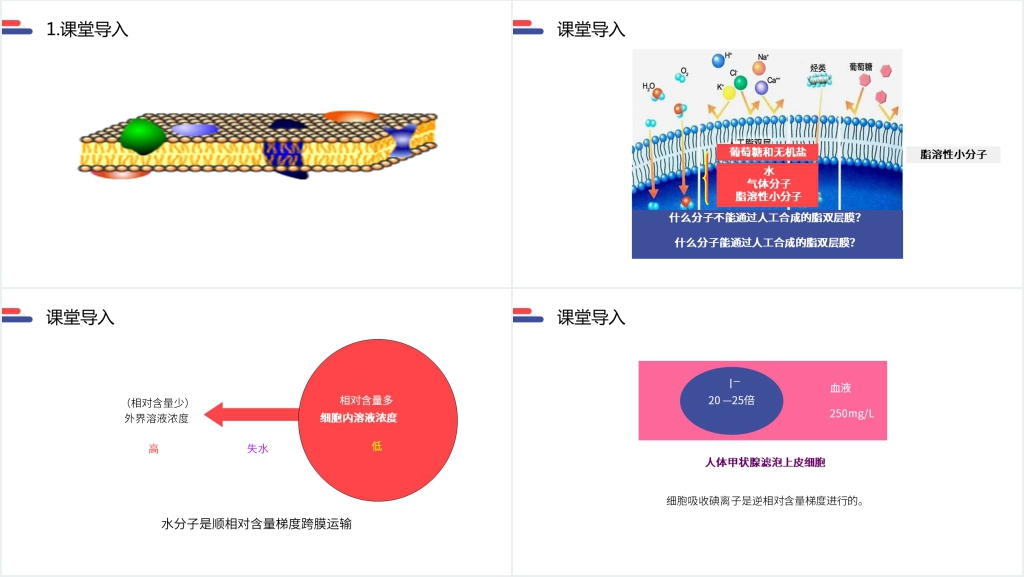 人教版必修高一生物《物质跨膜运输的方式》PPT课件 人教版必修高一生物《物质跨膜运输的方式》PPT课件