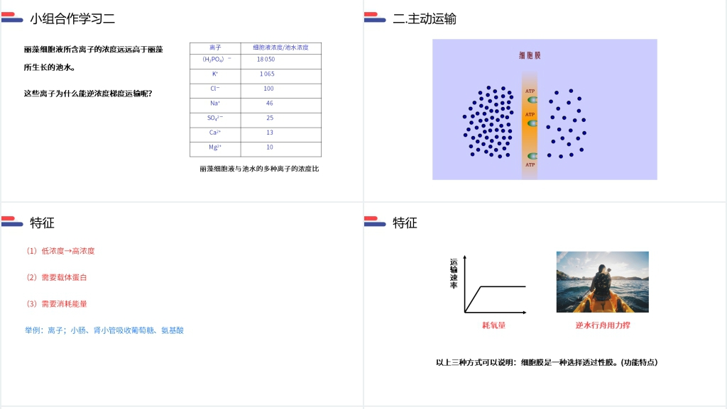 人教版必修高一生物《物质跨膜运输的方式》PPT课件 人教版必修高一生物《物质跨膜运输的方式》PPT课件