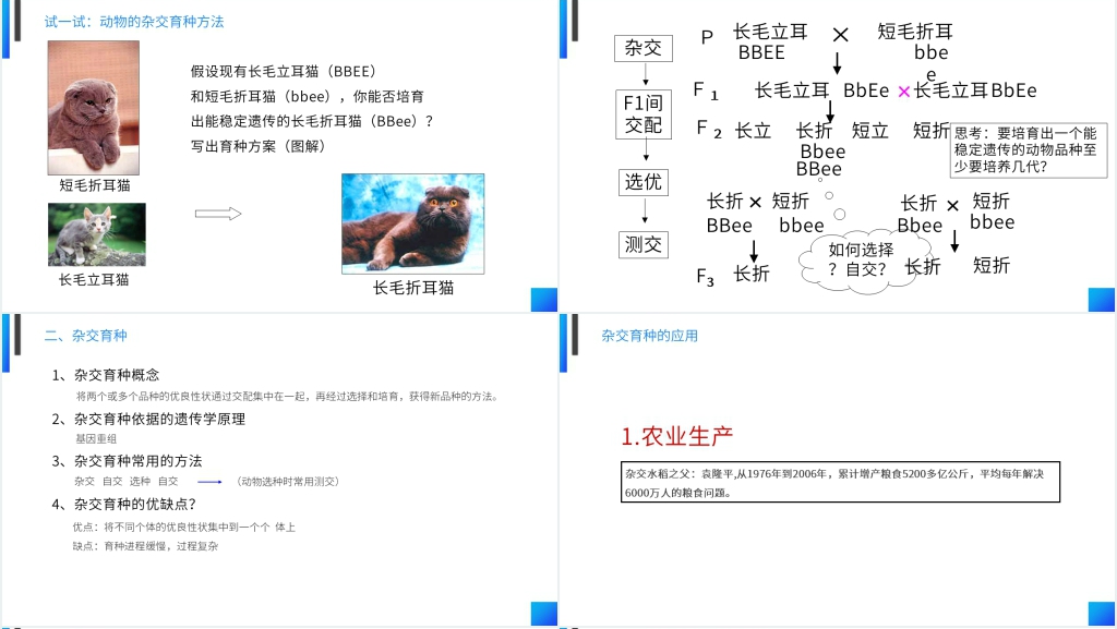 高一下册生物必修二《杂交育种和诱变育种》PPT课件