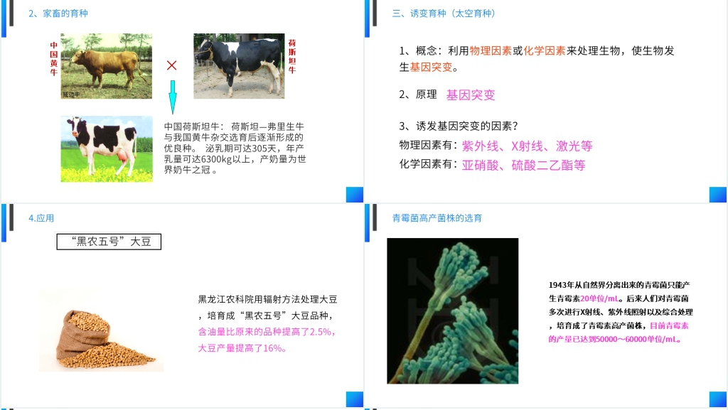 高一下册生物必修二《杂交育种和诱变育种》PPT课件