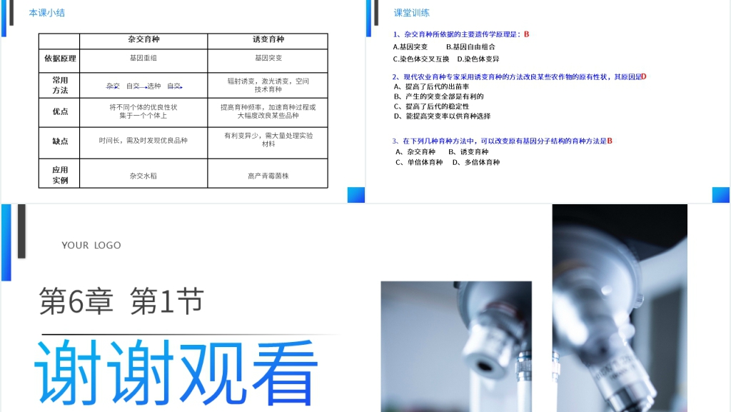 高一下册生物必修二《杂交育种和诱变育种》PPT课件