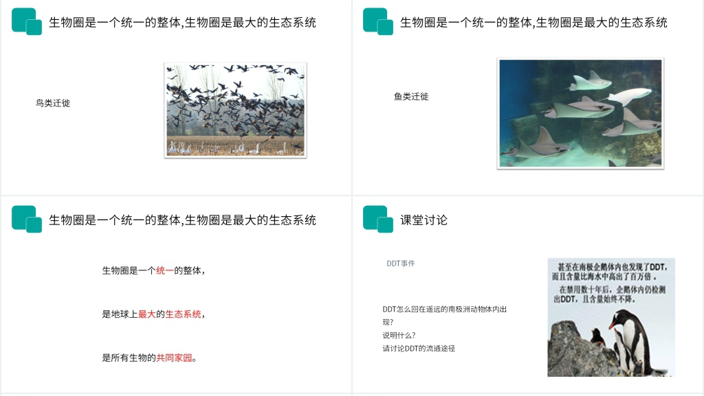 人教版七年级初一生物上册《生物圈是最大的生态系统》PPT课件 人教版七年级初一生物上册《生物圈是最大的生态系统》PPT课件