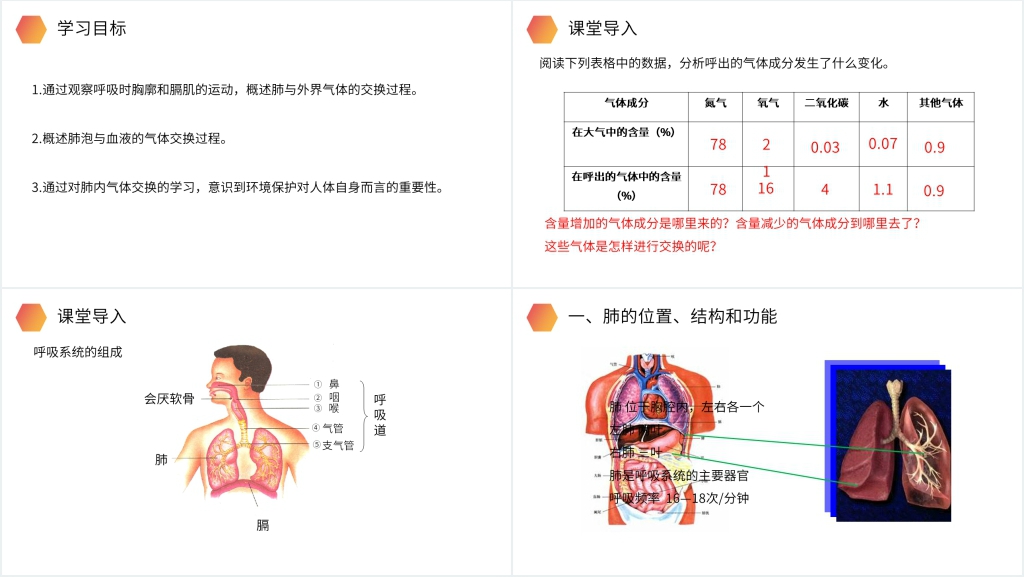 人教版生物七年级初一下册《发生在肺内的气体交换》PPT课件 人教版生物七年级初一下册《发生在肺内的气体交换》PPT课件