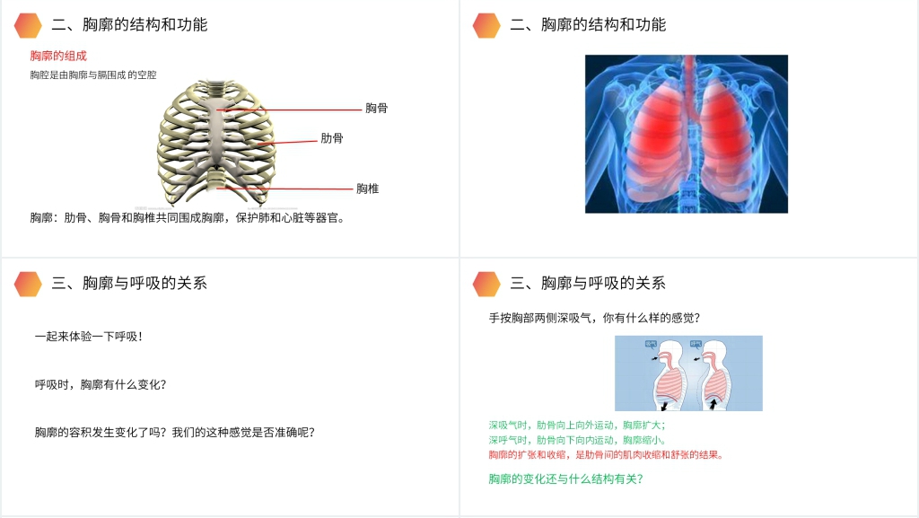 人教版生物七年级初一下册《发生在肺内的气体交换》PPT课件 人教版生物七年级初一下册《发生在肺内的气体交换》PPT课件