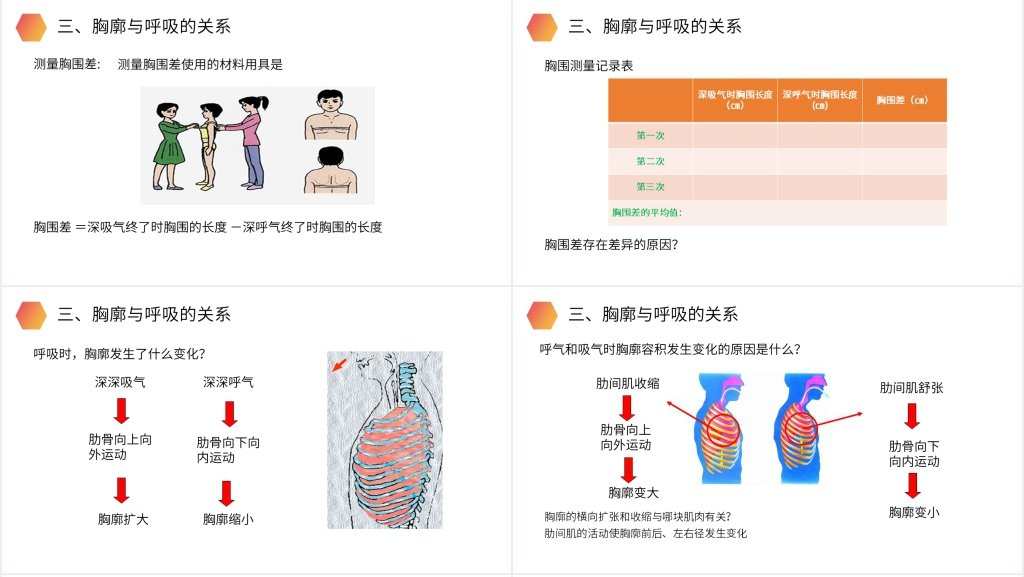 人教版生物七年级初一下册《发生在肺内的气体交换》PPT课件 人教版生物七年级初一下册《发生在肺内的气体交换》PPT课件