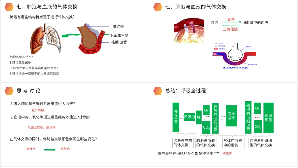 人教版生物七年级初一下册《发生在肺内的气体交换》PPT课件 人教版生物七年级初一下册《发生在肺内的气体交换》PPT课件