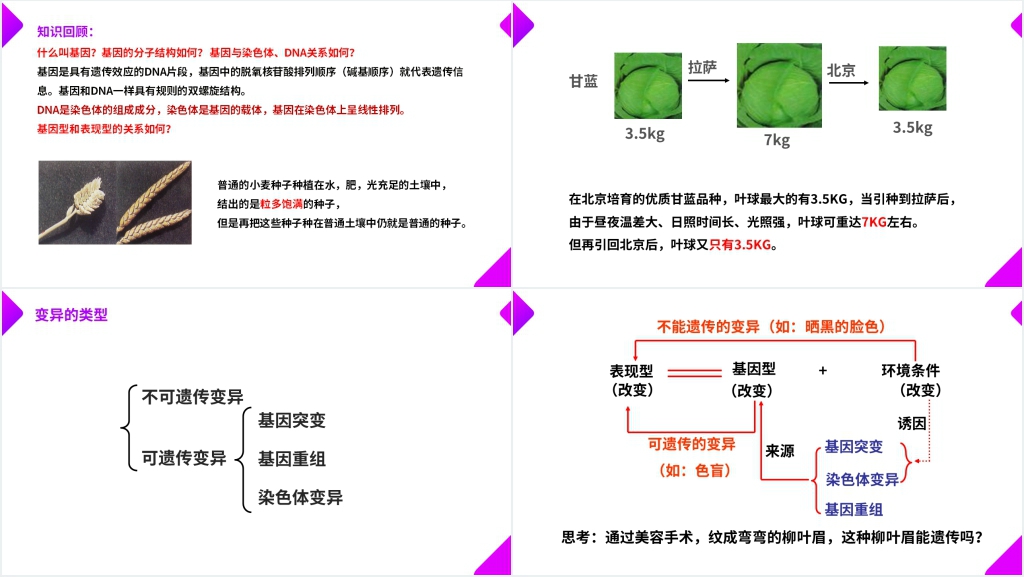 高一下册生物必修二《基因突变和基因重组》PPT课件 高一下册生物必修二《基因突变和基因重组》PPT课件