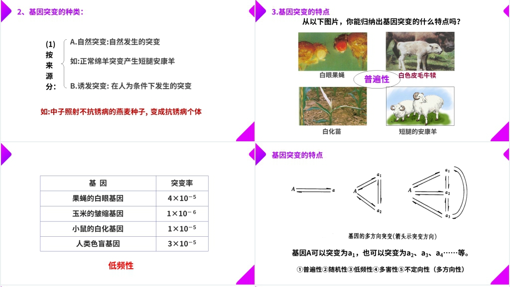高一下册生物必修二《基因突变和基因重组》PPT课件 高一下册生物必修二《基因突变和基因重组》PPT课件
