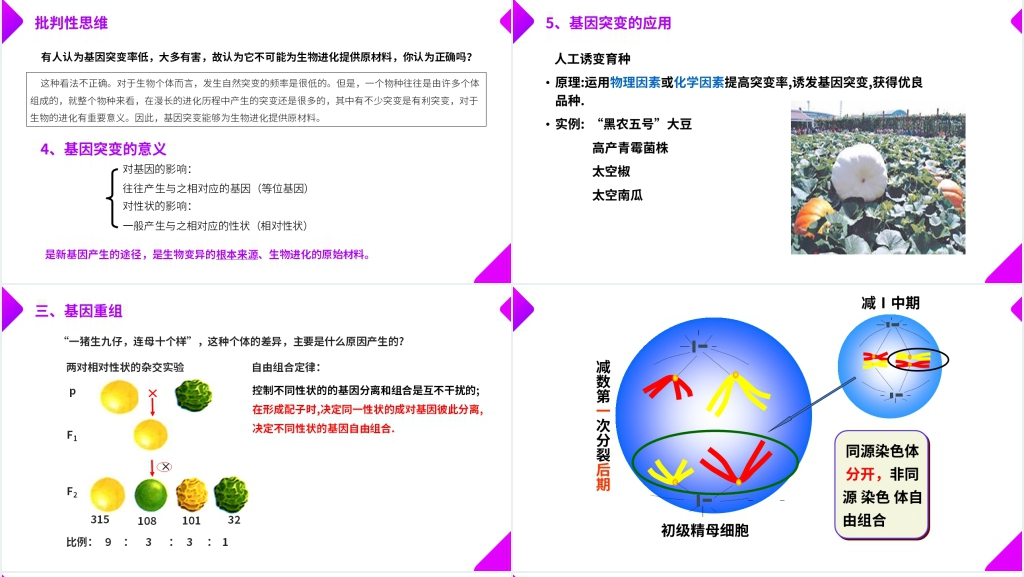 高一下册生物必修二《基因突变和基因重组》PPT课件 高一下册生物必修二《基因突变和基因重组》PPT课件