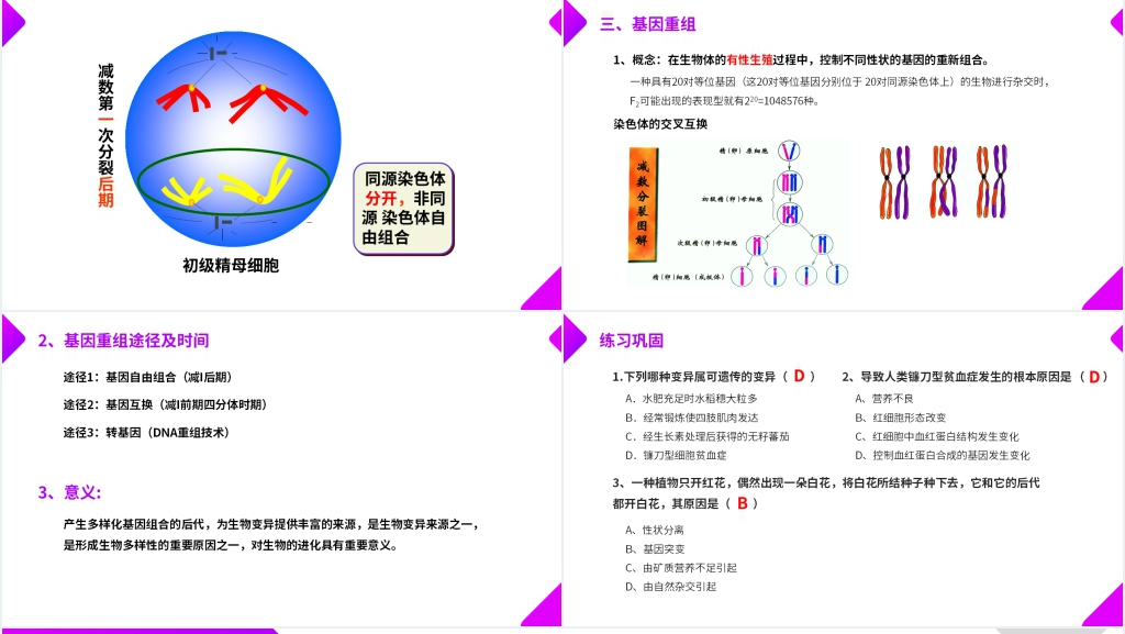 高一下册生物必修二《基因突变和基因重组》PPT课件 高一下册生物必修二《基因突变和基因重组》PPT课件