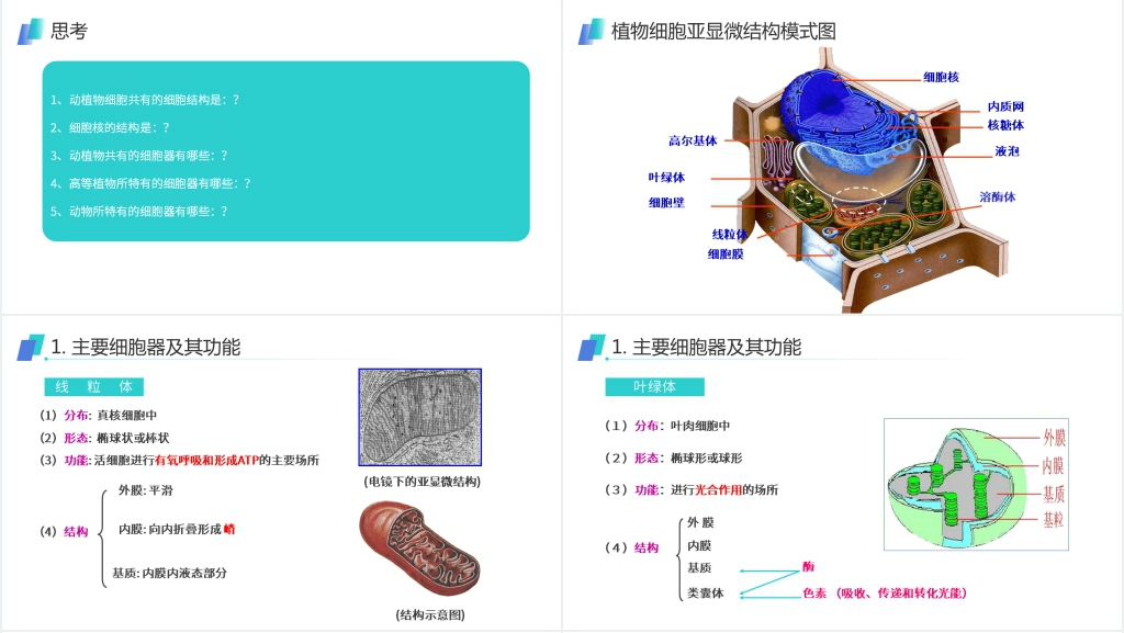 人教版必修高一生物《细胞器(系统内的分工合作)》PPT课件 人教版必修高一生物《细胞器(系统内的分工合作)》PPT课件