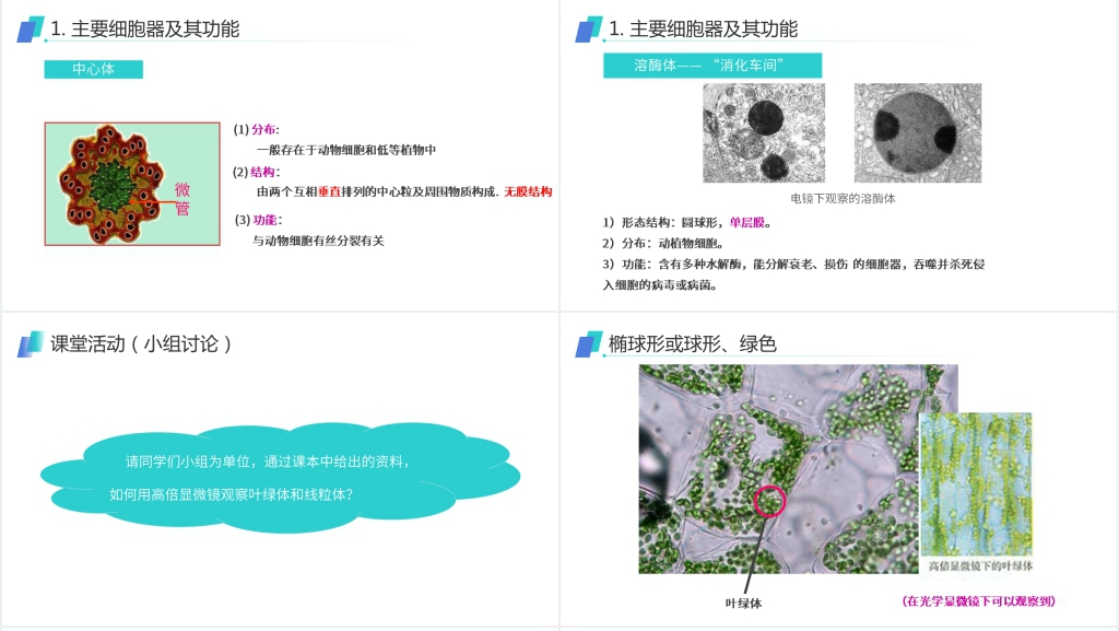 人教版必修高一生物《细胞器(系统内的分工合作)》PPT课件 人教版必修高一生物《细胞器(系统内的分工合作)》PPT课件