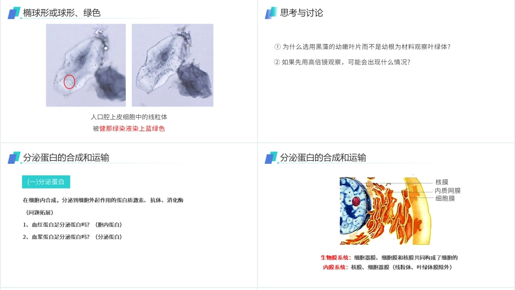 人教版必修高一生物《细胞器(系统内的分工合作)》PPT课件 人教版必修高一生物《细胞器(系统内的分工合作)》PPT课件