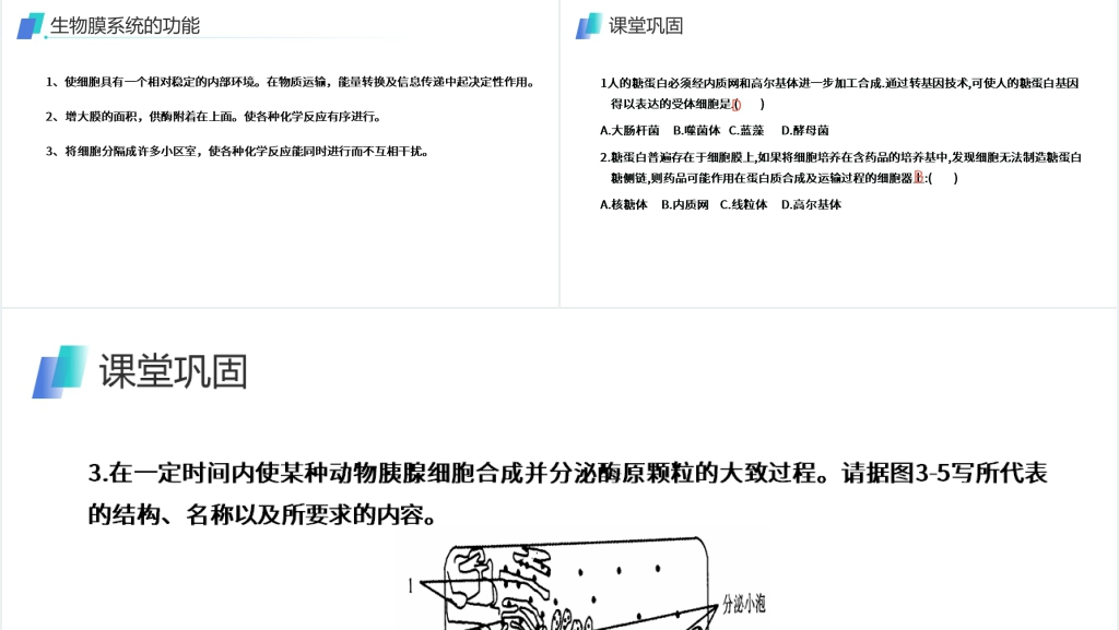 人教版必修高一生物《细胞器(系统内的分工合作)》PPT课件 人教版必修高一生物《细胞器(系统内的分工合作)》PPT课件