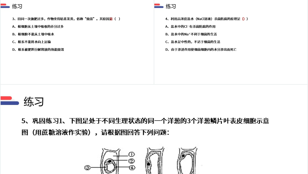 人教版必修高一生物《物质跨膜运输的实例》PPT课件 人教版必修高一生物《物质跨膜运输的实例》PPT课件