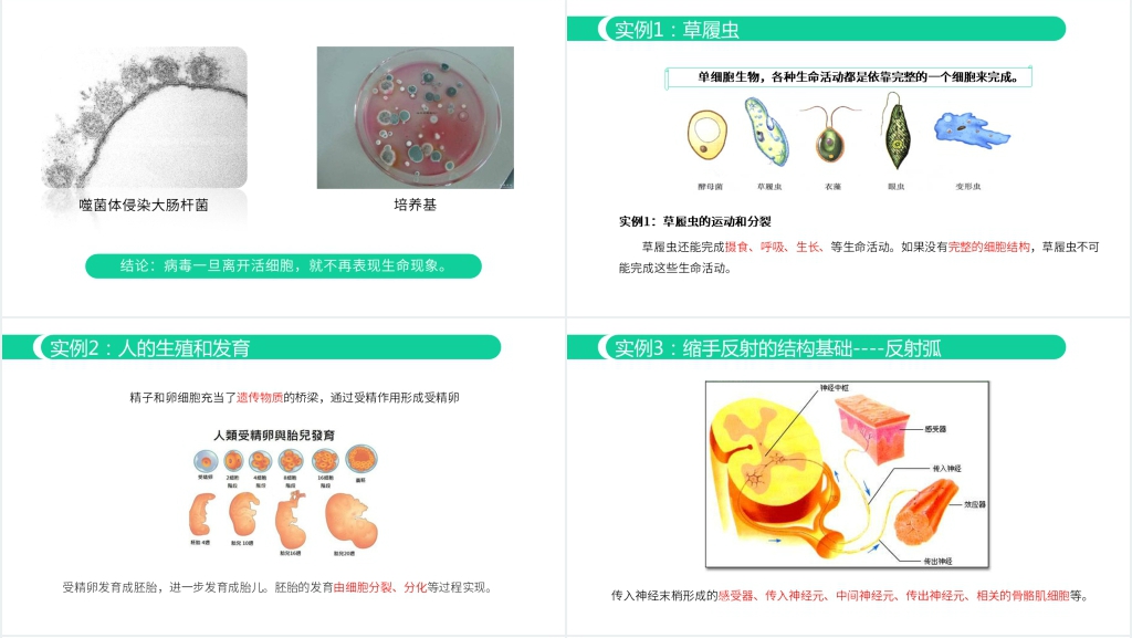人教版必修高一生物《从生物圈到细胞》教学PPT课件 人教版必修高一生物《从生物圈到细胞》教学PPT课件