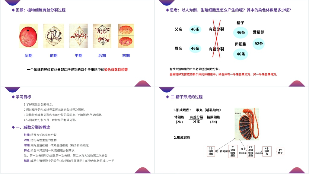 高一下册生物必修二《减数分裂和受精作用》(第2.1.1课时)PPT课件 高一下册生物必修二《减数分裂和受精作用》(第2.1.1课时)PPT课件