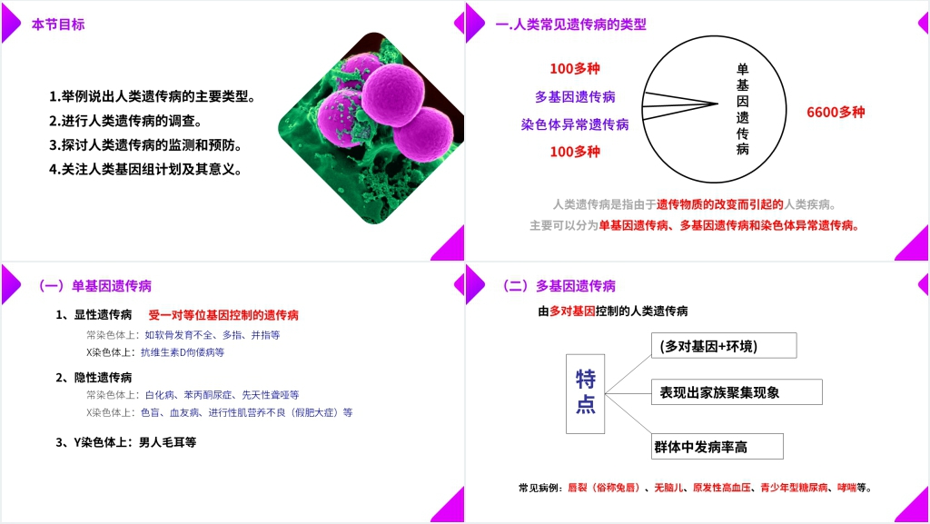 高一下册生物必修二《人类遗传病》PPT课件 高一下册生物必修二《人类遗传病》PPT课件