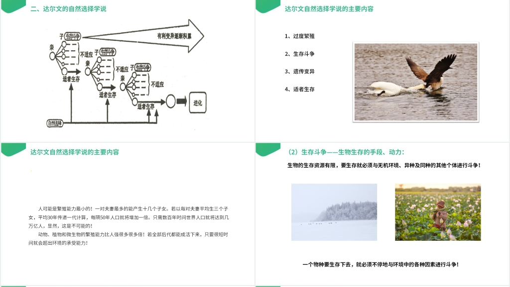 高一下册生物必修二《生物进化理论的由来》PPT课件