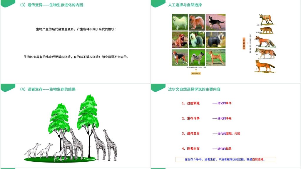 高一下册生物必修二《生物进化理论的由来》PPT课件