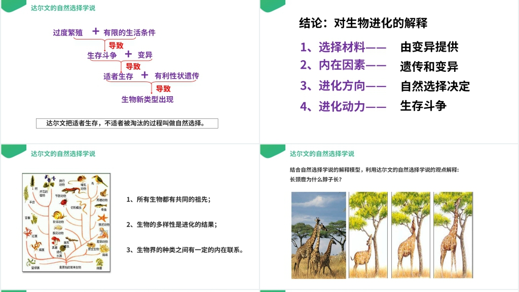 高一下册生物必修二《生物进化理论的由来》PPT课件