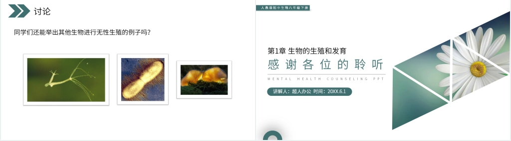 人教版初中生物八年级初二下册《生物的生殖和发育(植物的生殖)》PPT课件 人教版初中生物八年级初二下册《生物的生殖和发育(植物的生殖)》PPT课件