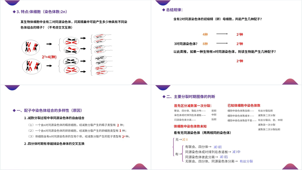 高一下册生物必修二《减数分裂和受精作用》PPT课件 高一下册生物必修二《减数分裂和受精作用》PPT课件