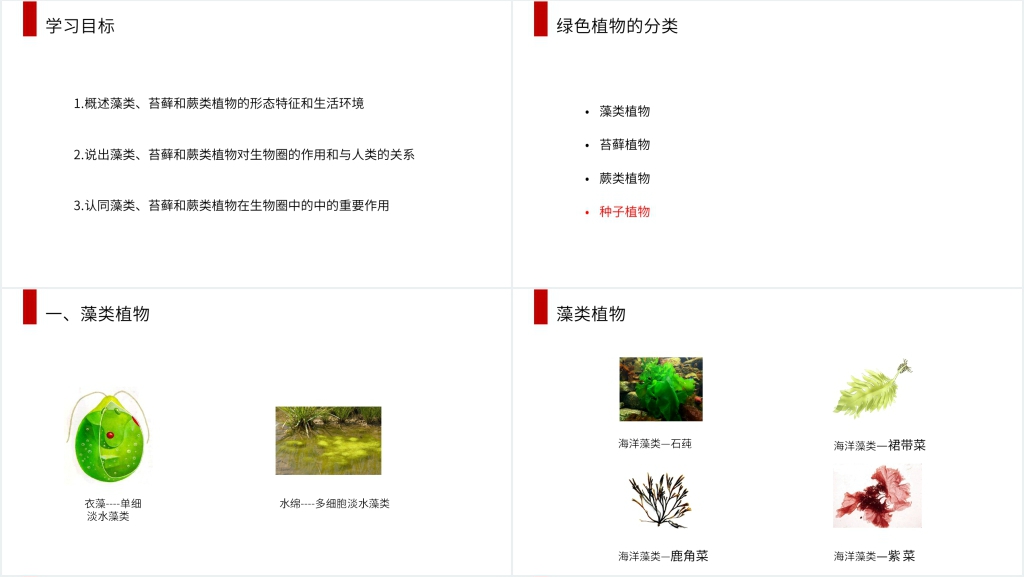 人教版七年级初一生物上册《藻类、苔藓和蕨类植物》PPT课件 人教版七年级初一生物上册《藻类、苔藓和蕨类植物》PPT课件