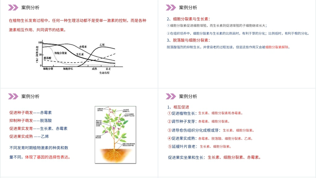 人教版高二生物必修三《其他植物激素》PPT课件 人教版高二生物必修三《其他植物激素》PPT课件