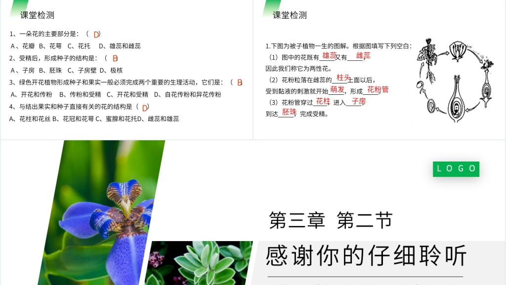 人教版七年级初一生物上册《开花和结果》PPT课件 人教版七年级初一生物上册《开花和结果》PPT课件
