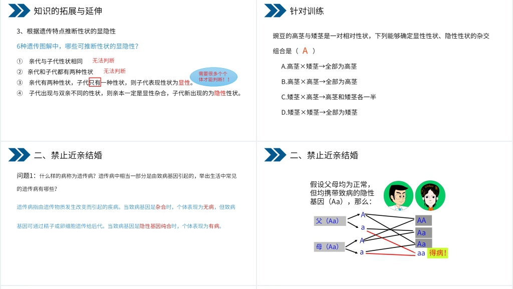 《生物的遗传和变异(基因的显性和隐性)》PPT课件 《生物的遗传和变异(基因的显性和隐性)》PPT课件