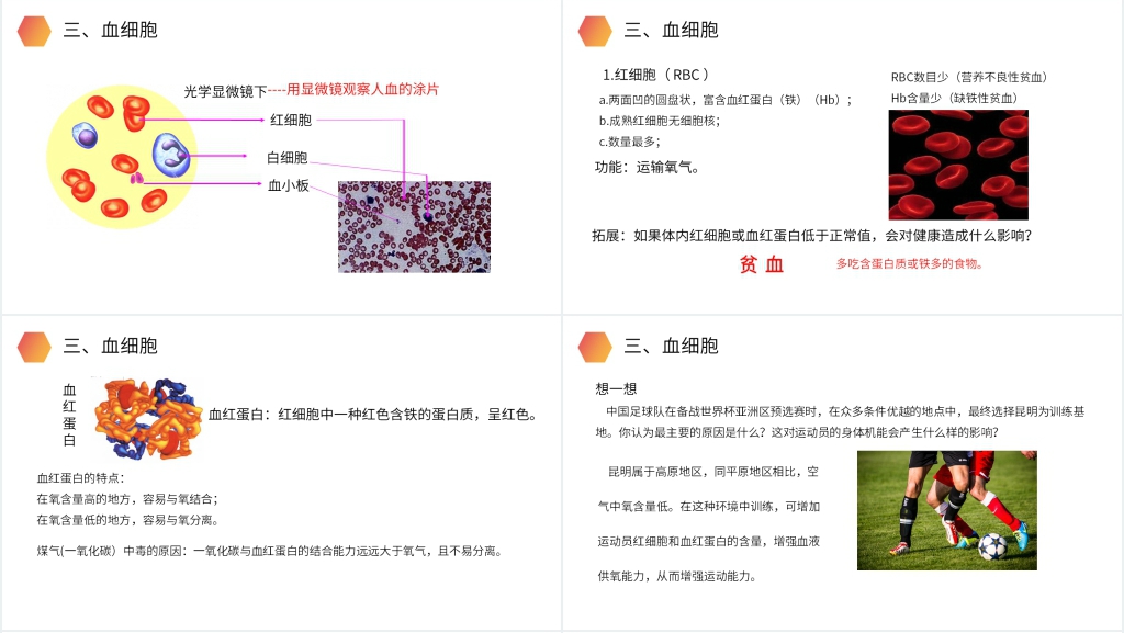 人教版生物七年级初一下册《流动的组织(血液)》教案教学PPT课件 人教版生物七年级初一下册《流动的组织(血液)》教案教学PPT课件