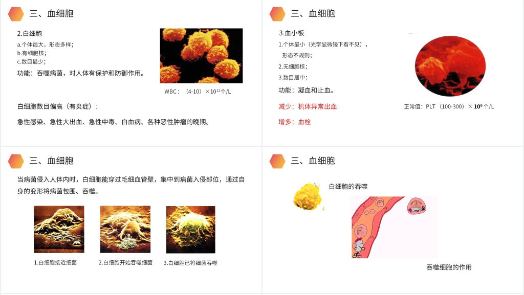 人教版生物七年级初一下册《流动的组织(血液)》教案教学PPT课件 人教版生物七年级初一下册《流动的组织(血液)》教案教学PPT课件