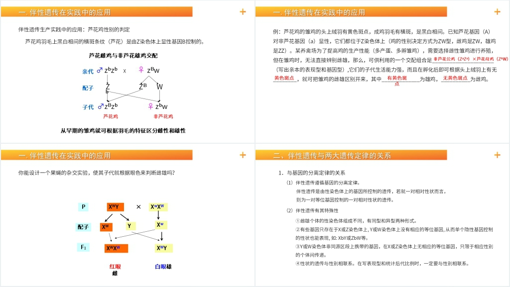 高一生物下册必修二《伴性遗传(2)》PPT课件 高一生物下册必修二《伴性遗传(2)》PPT课件
