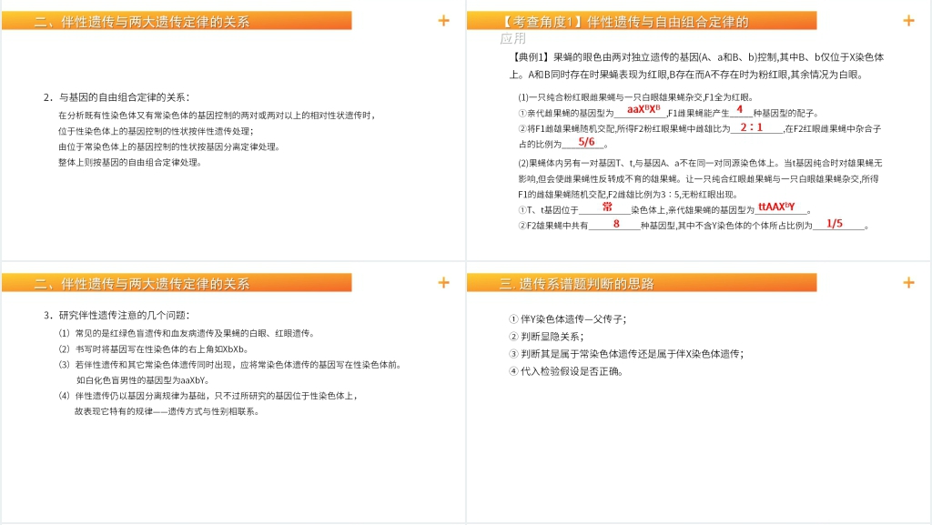 高一生物下册必修二《伴性遗传(2)》PPT课件 高一生物下册必修二《伴性遗传(2)》PPT课件