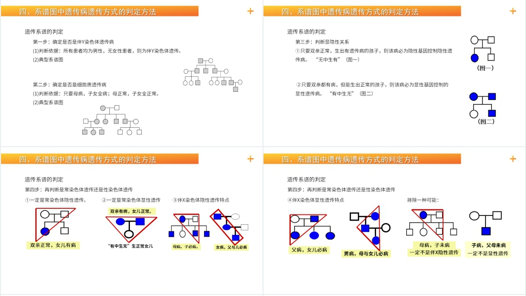 高一生物下册必修二《伴性遗传(2)》PPT课件 高一生物下册必修二《伴性遗传(2)》PPT课件