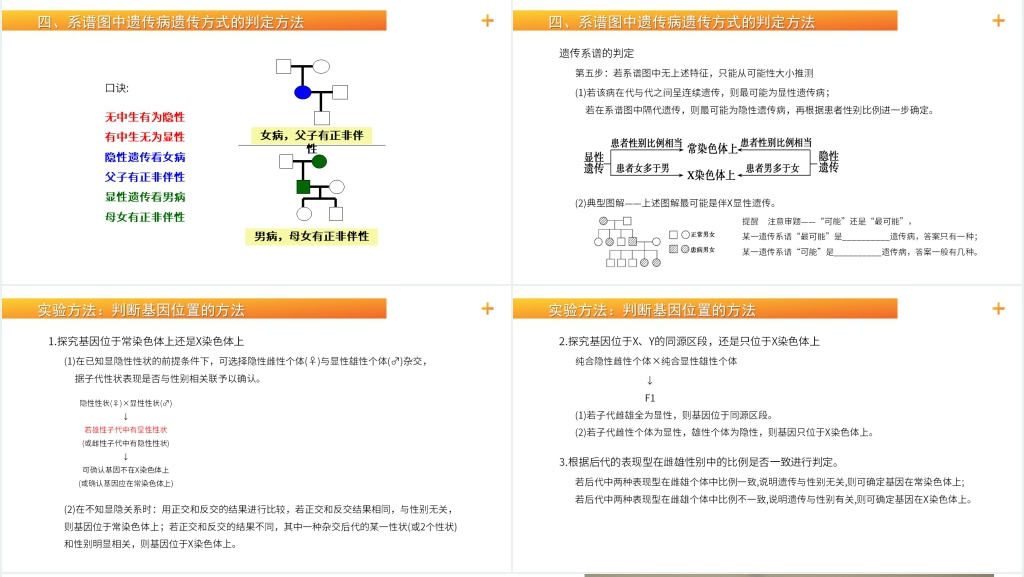 高一生物下册必修二《伴性遗传(2)》PPT课件 高一生物下册必修二《伴性遗传(2)》PPT课件