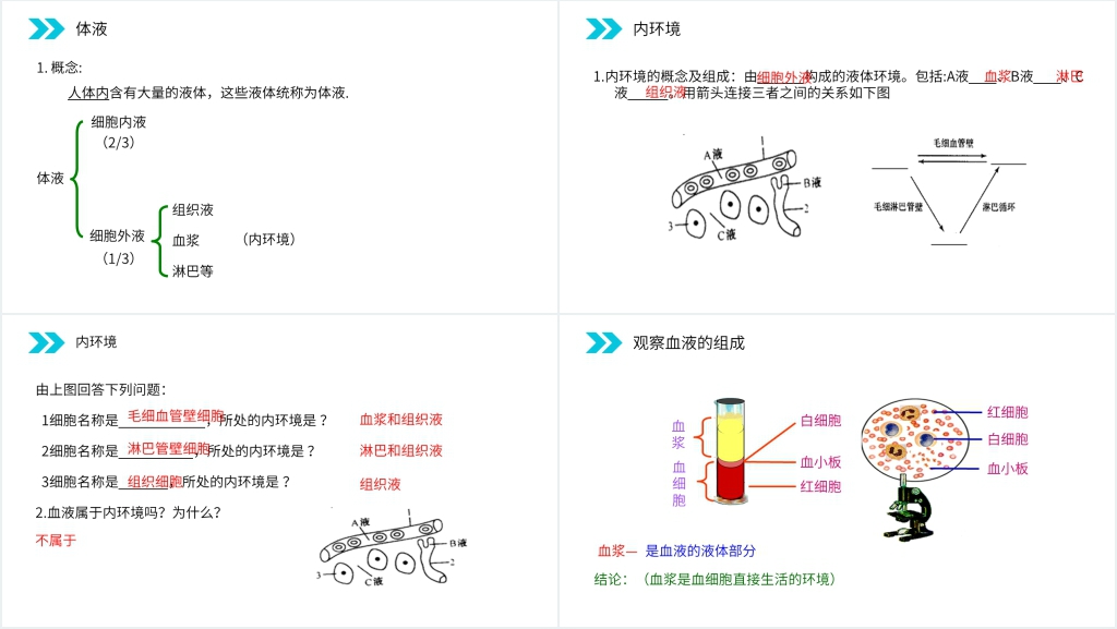 人教版高二生物必修三《细胞生活的环境》教学PPT课件 人教版高二生物必修三《细胞生活的环境》教学PPT课件