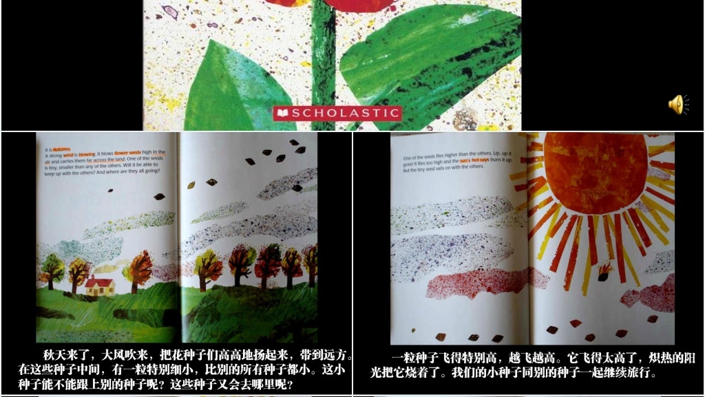 小种子绘本故事PPT课件