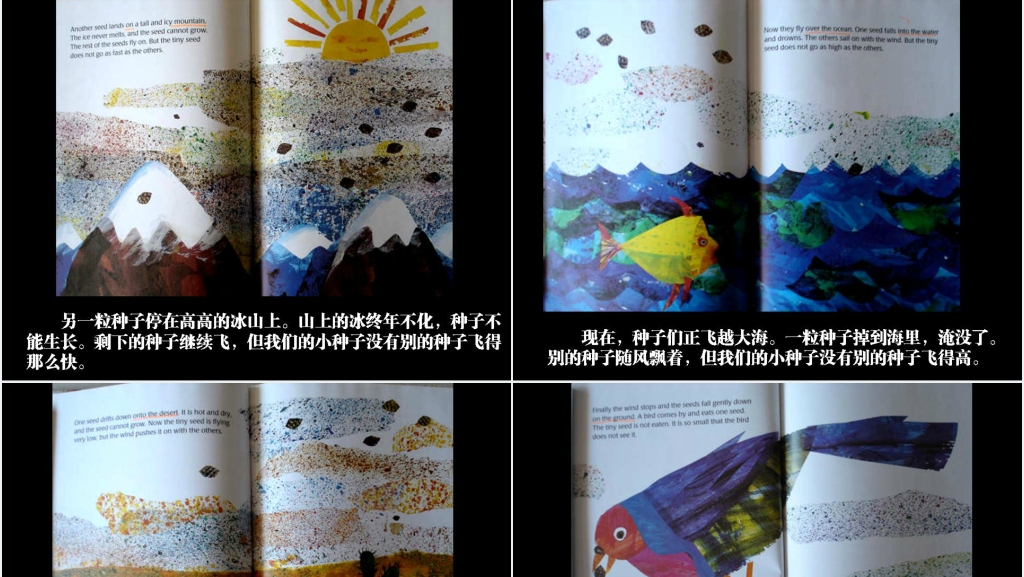 小种子绘本故事PPT课件